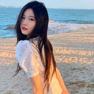 最后的飞行